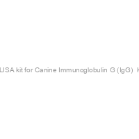 ELISA kit for Canine Immunoglobulin G (IgG)  Kit